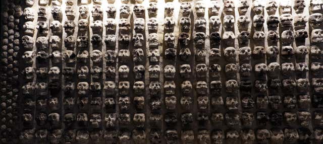 Visita guiada por el Templo Mayor