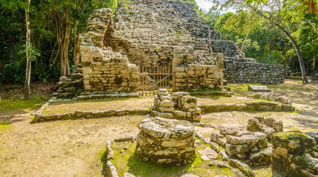 Cobá