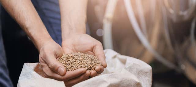 Visita alla Cervecería de Colima