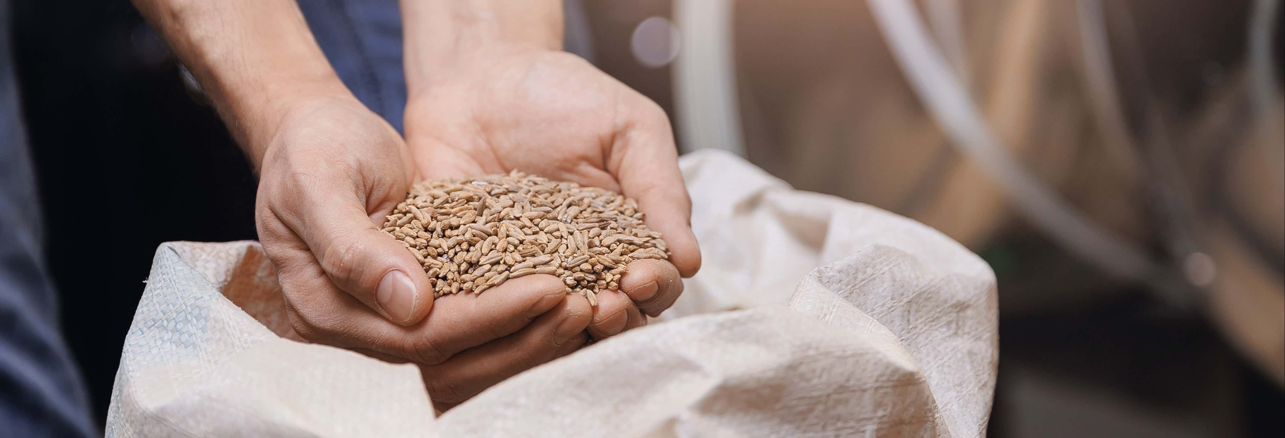 Visita alla Cervecería de Colima