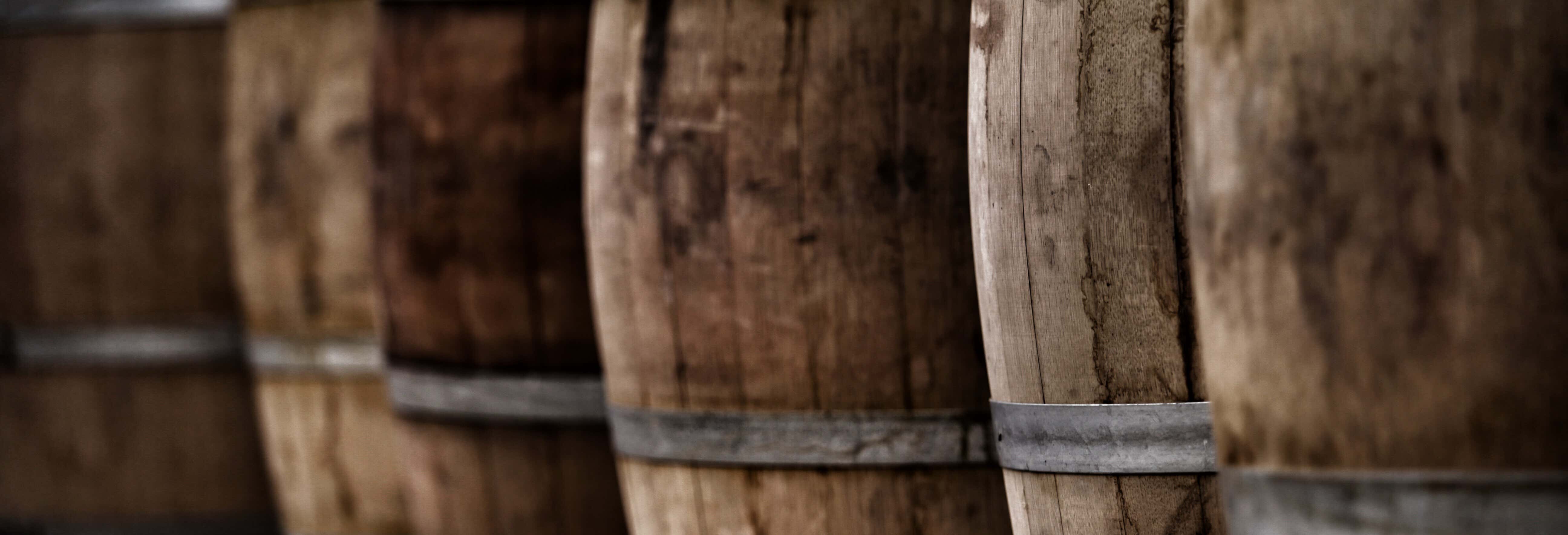 Visita alla distilleria Ron Classico e alla Cervecería de la Costa