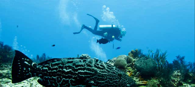 Immersione a Cozumel