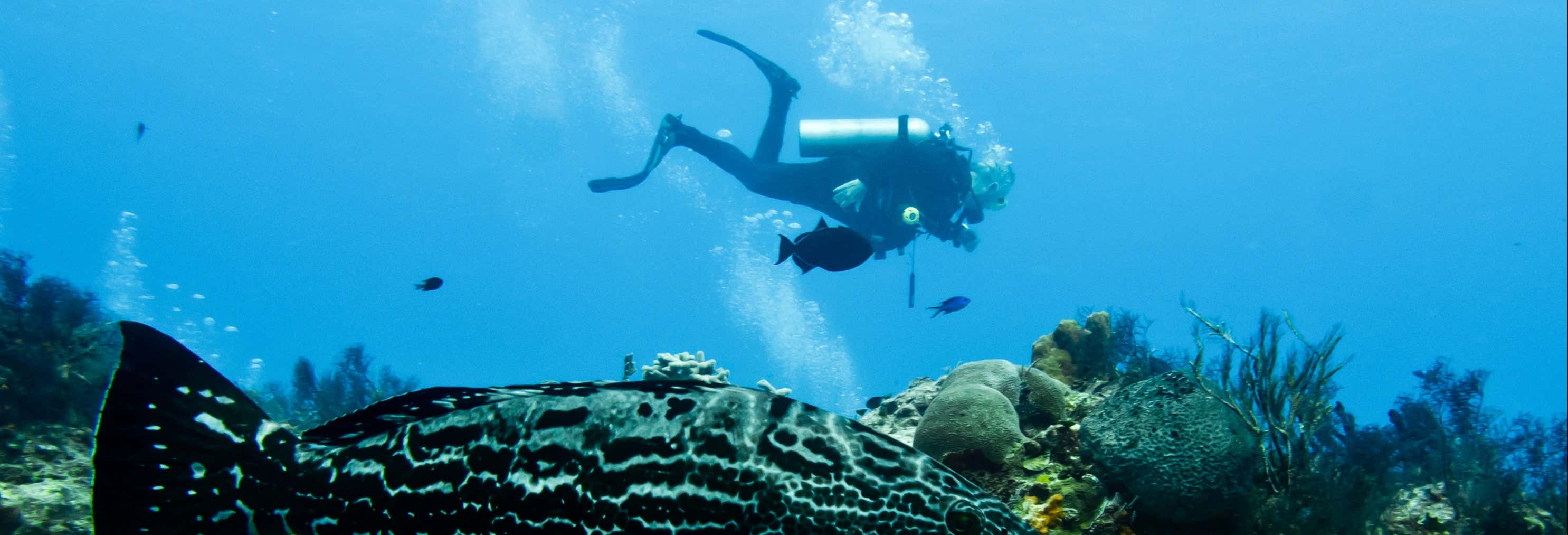 Immersione a Cozumel