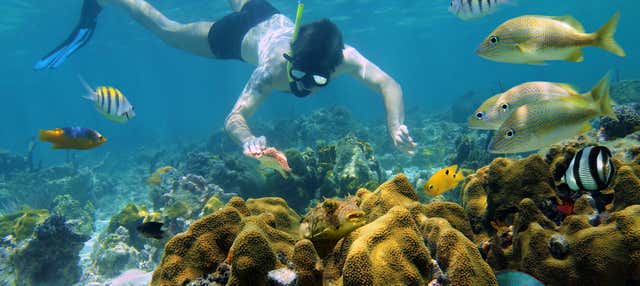 Kayak, snorkeling e paddle surf a Cozumel