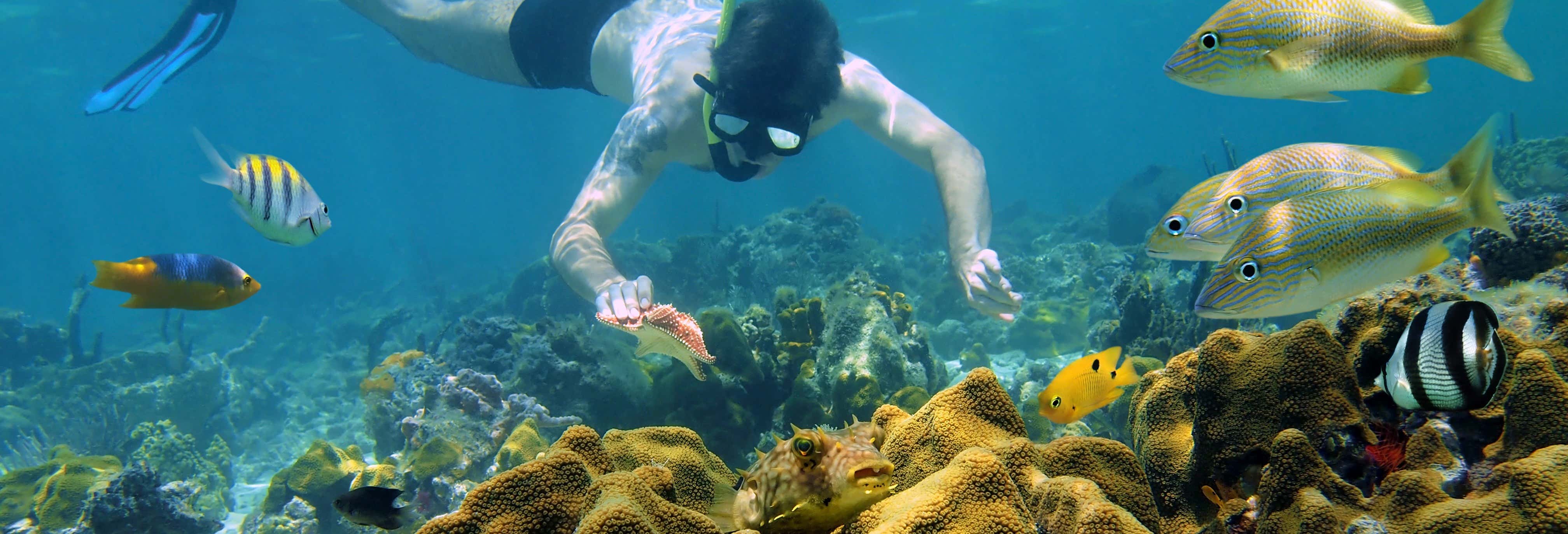 Kayak, snorkeling e paddle surf a Cozumel