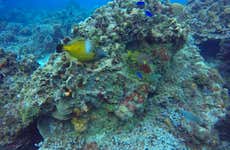 Cozumel Cruise & Snorkeling