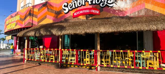 Señor Frog's Cozumel