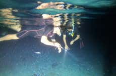 Night Snorkeling in Cozumel