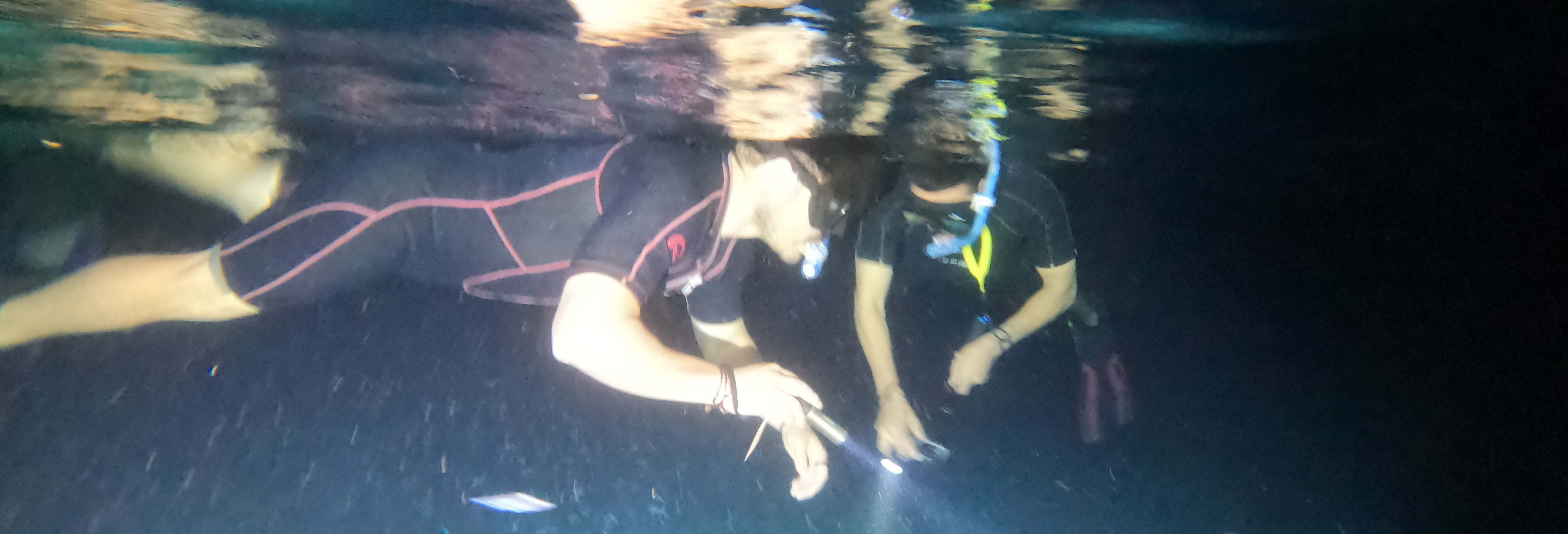 Snorkeling serale a Cozumel