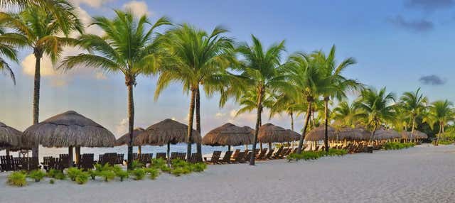 Tour dei bar di Cozumel