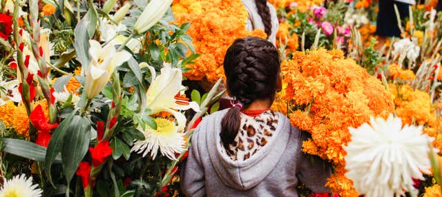 Tour del Día de Muertos a Cozumel
