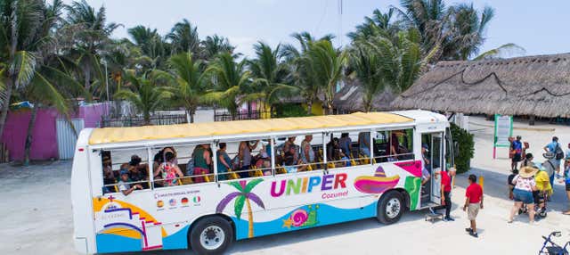 Tour panoramico di Cozumel