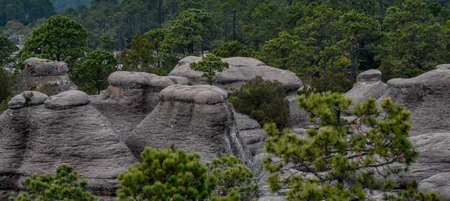Excursão ao Parque Natural Mexiquillo