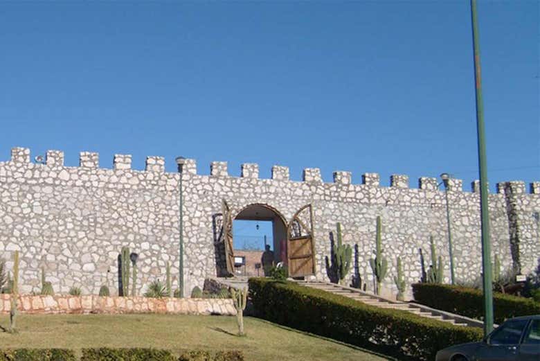Imagen 6