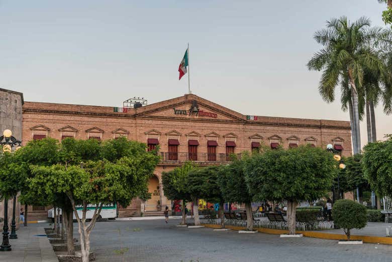 Imagen 5
