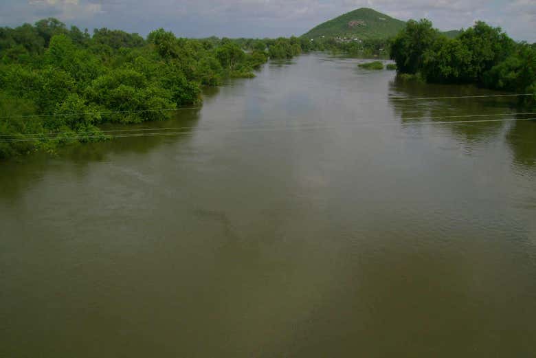 Imagen 6