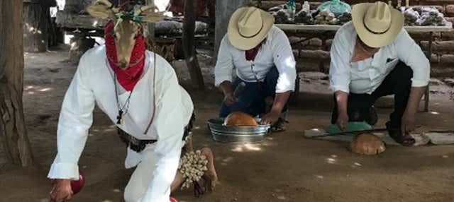 Visita a una comunità indigena di mayos-yoremes