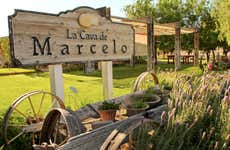 Ensenada Wine & Cheese Tasting