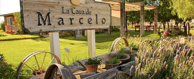 Cata de vino y queso en el Valle de Ojos Negros