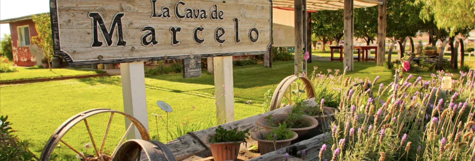 Degustazione di vino e formaggio nella Valle de Ojos Negros