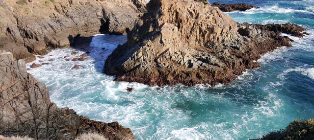 Escursione a La Bufadora