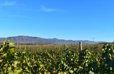 Ensenada Wine Tour