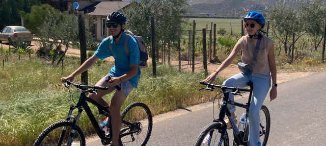 Tour in bicicletta dei vigneti della Valle de Guadalupe