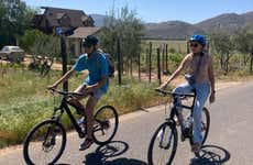 Guadalupe Valley Vineyards Bike Tour
