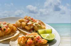 Ensenada Taco Tour by Bike
