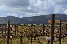 Valle de Guadalupe Wine + Cheese Tour