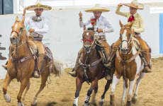 Traditional Mexican Cowboy Show