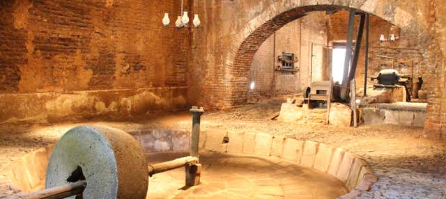 Escursione a Casa Herradura e alla tenuta San José del Refugio