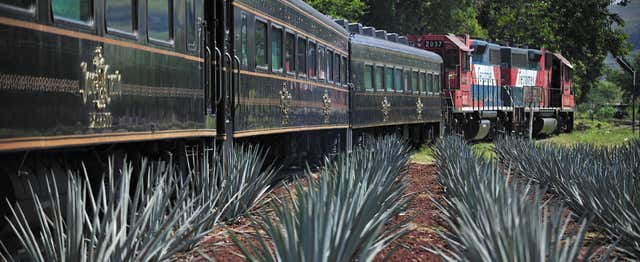 Excursion à Tequila avec spectacle mariachi + Train José Cuervo Express