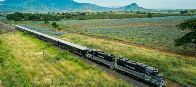 Escursione a Tequila con il Tequila Express