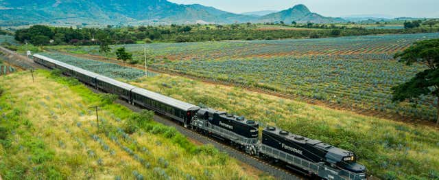 Excursion à Tequila à bord du train Tequila Express