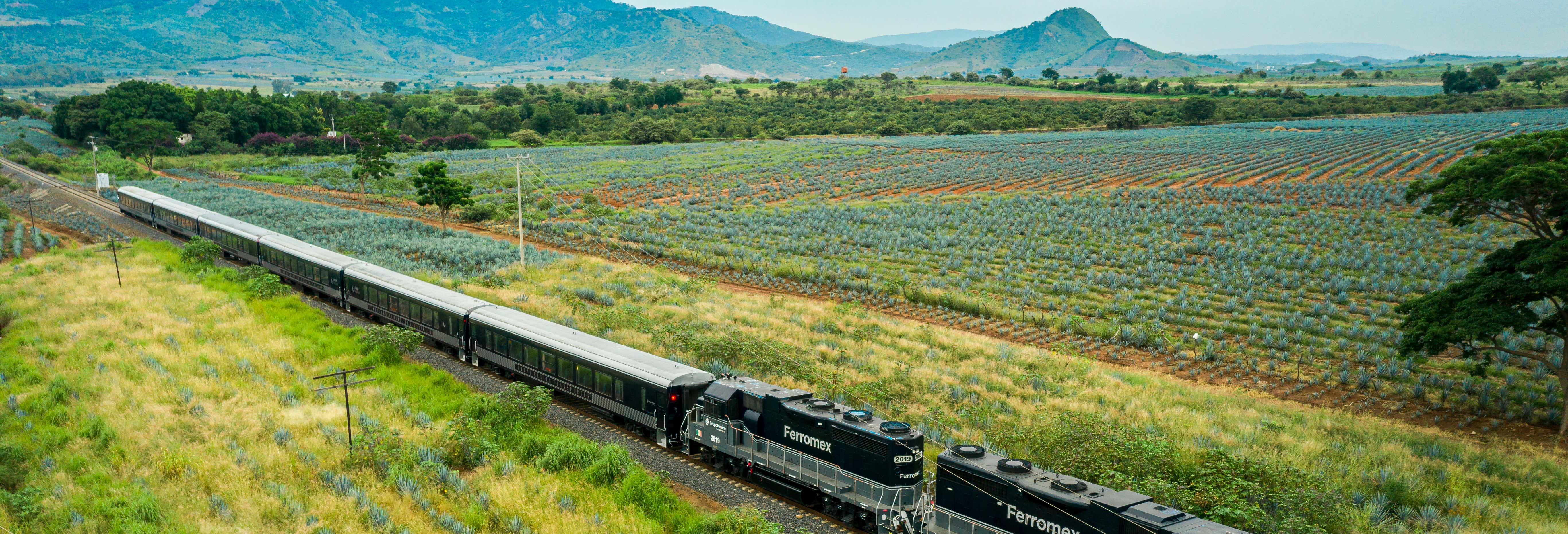 Excursión a Tequila en el tren Tequila Express