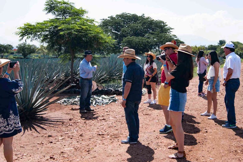 Imagen de Excursión a Tequila