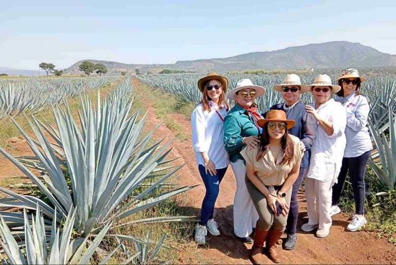 Tour por Tequila y Guachimontones con 3 noches de alojamiento