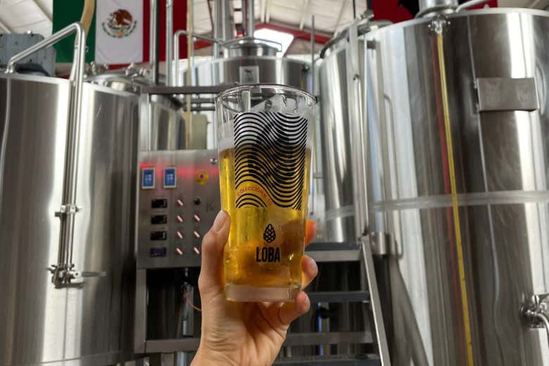 Tour de la cerveza y la arquitectura por Guadalajara