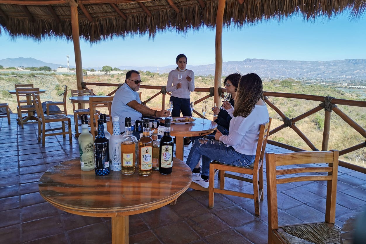 Excursión a Tequila con visita a una destilería y degustación