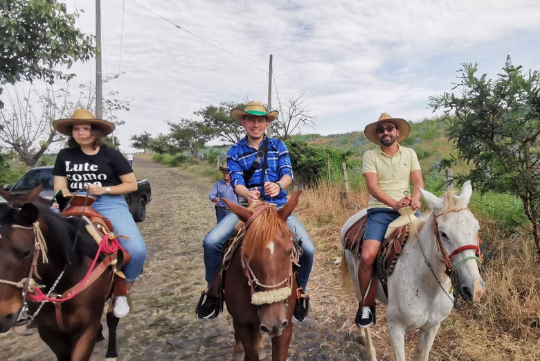 Paseo a caballo por Tequila + Visita a una destilería con cata