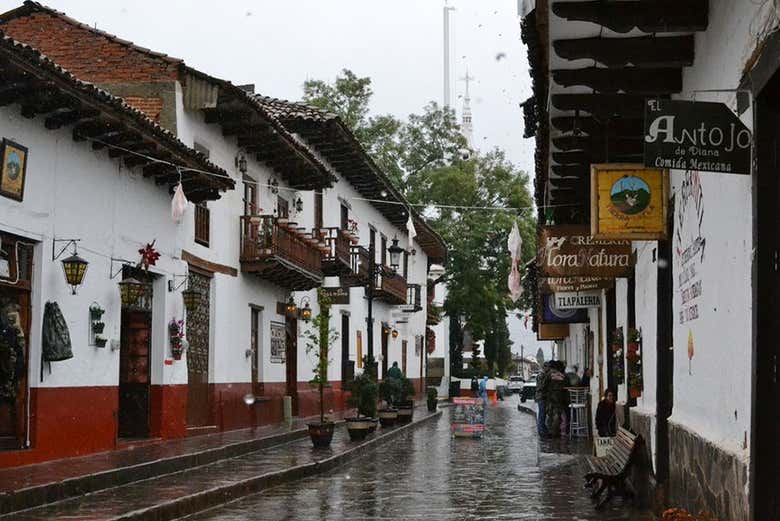 Imagen 7