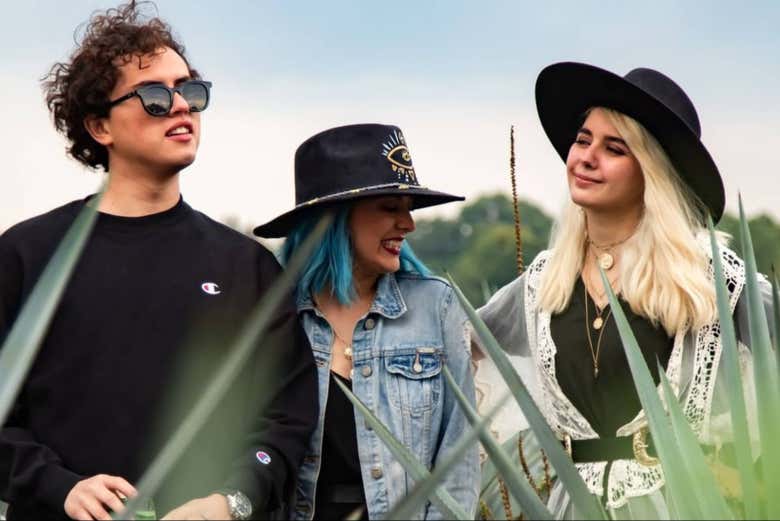 Tour de 7 días por Guadalajara, Tequila y Puerto Vallarta