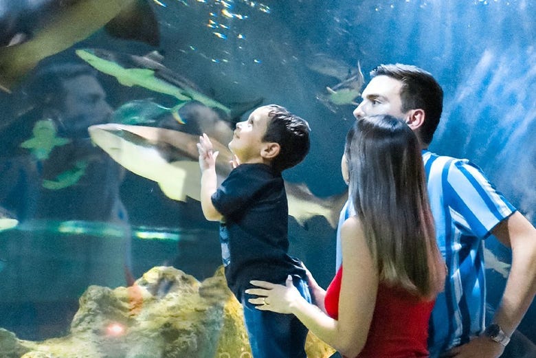 Entrada al Acuario Michin Guadalajara