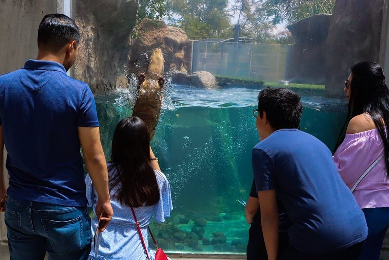 Entrada al Acuario Michin Guadalajara