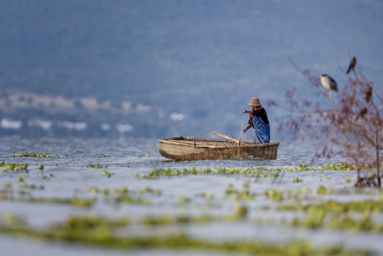 Imagen de Excursión a Ajijic y el lago de Chapala