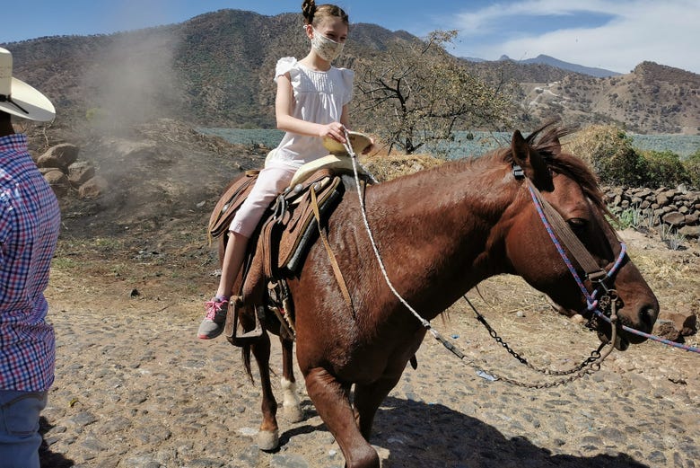 Paseo a caballo por Tequila + Visita a una destilería con cata