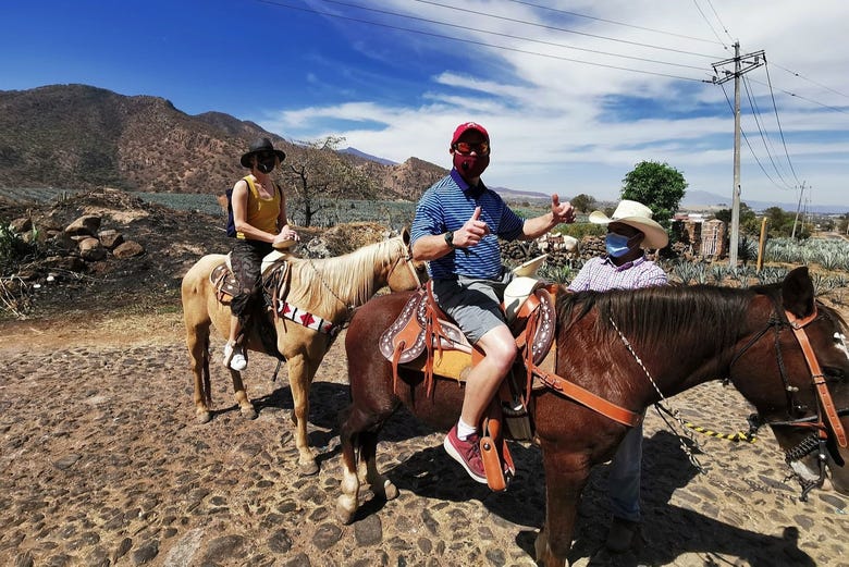 Paseo a caballo por Tequila + Visita a una destilería con cata