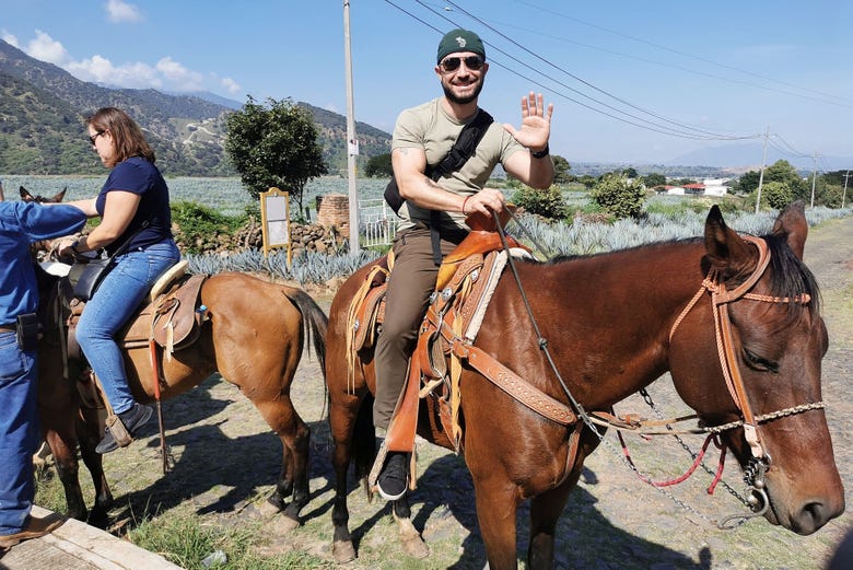 Paseo a caballo por Tequila + Visita a una destilería con cata