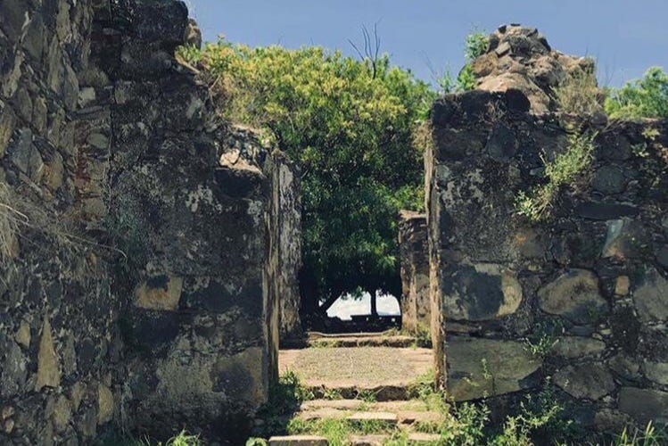 Excursión a la isla de Mezcala